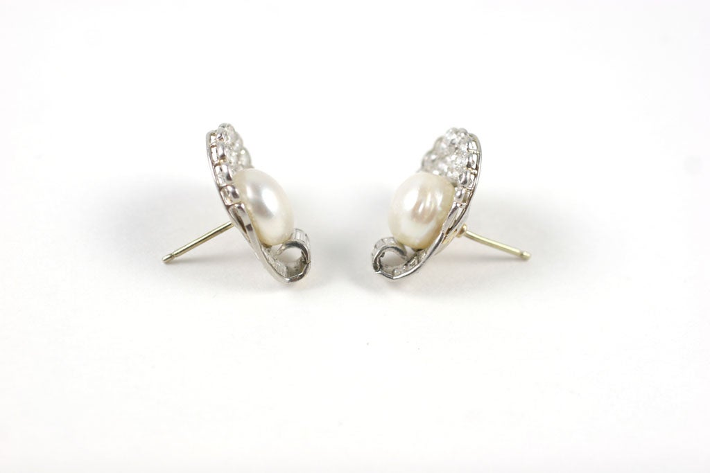 Women's  Natural Pearl and Diamond Oyster Shell Design Earrings For Sale