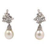 "Reine d'Hiver" Australian Pearl and Diamond Earrings