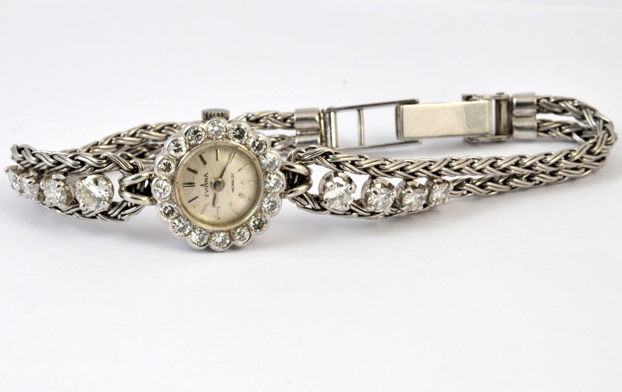 Elegant Eviana ladies wrist watch