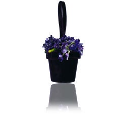 Lulu Guiness Violet Pot Bag