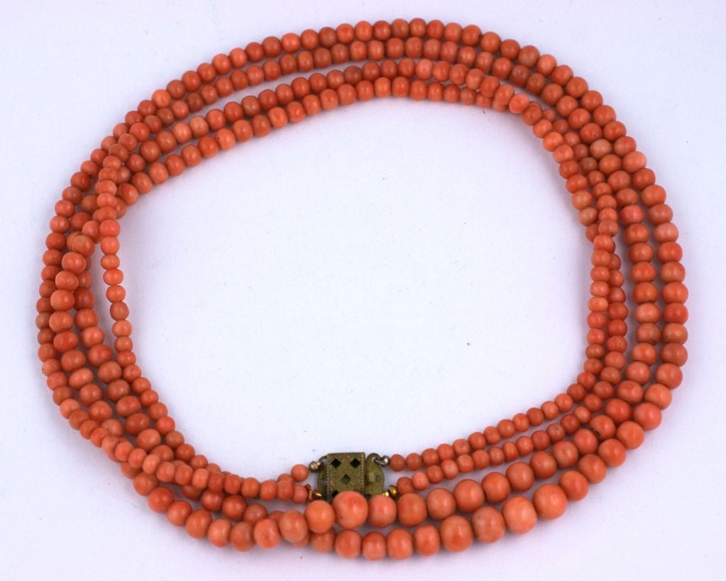 Lovely double strand of graduated coral beads circa 1880. These Victorian beads are Italian in origin. Filigreed brass box clasp.Beautiful uniform color is slightly pinker and lighter than image.<br />
Length: 26
