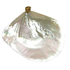 Mother of Pearl Shell Dish
