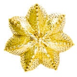 Retro Tiffany & Company Star Fish Clip Brooch