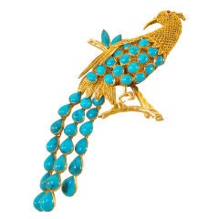 Turquoise Peacock Brooch