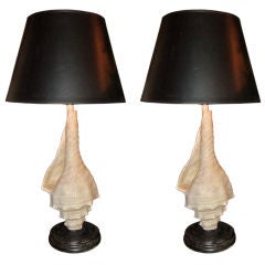 PAIR of Plaster Shell Lamps