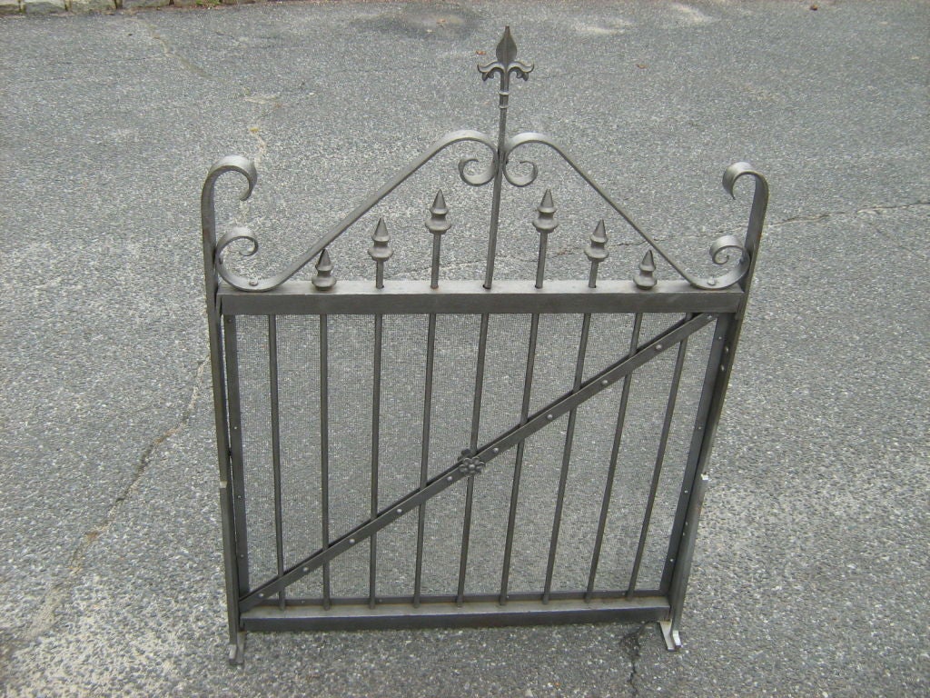 French iron fire place screen