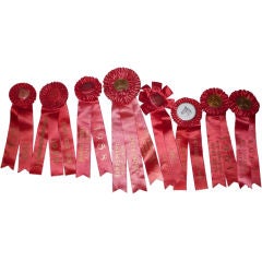 Horse Show Trophy Ribbons