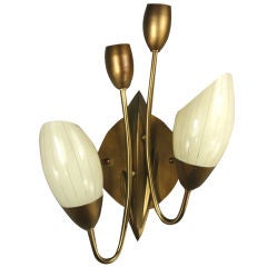 Pair French Tulips Four Light Sconce