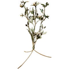 American Primitive Iron Rose Bush