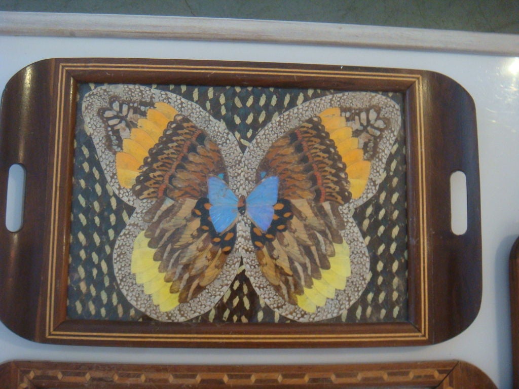 Late 20th Century Three Butterfly Trays