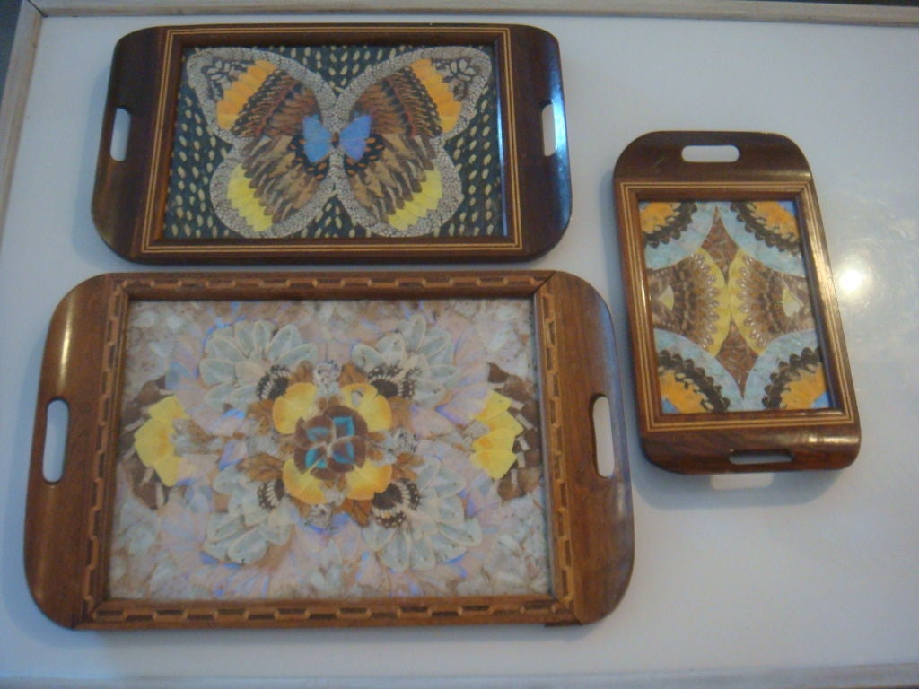 Three Brazilian Butterfly Trays. Trays are beautifully detailed from the inlaid wood frames to the workmanship of the pressed designs under the glass. Trays can be purchased seperately. Measurement below is of large tray only. Medium tray