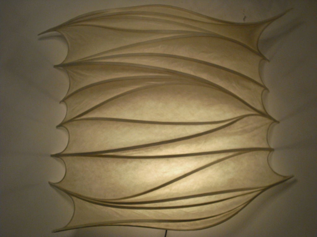 A beautiful organic light sculpture by artist, Stephen White. Signed.