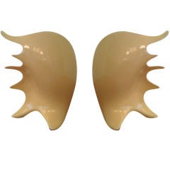 Pair of Antonia Campi Conch Shell Lamps