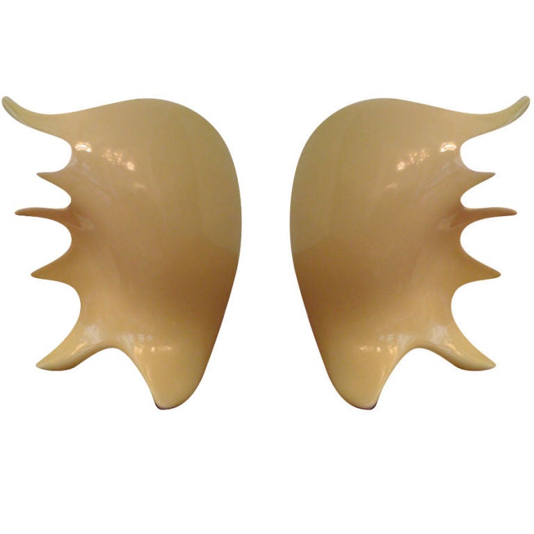 Pair of Antonia Campi Conch Shell Lamps