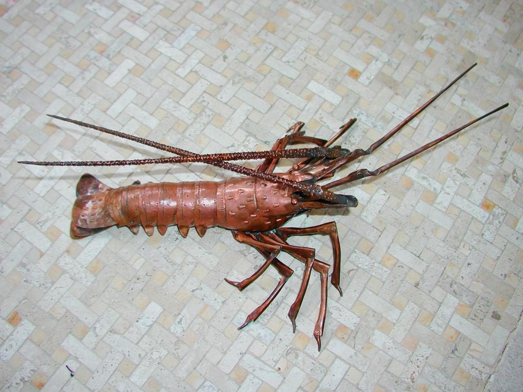 (4) 19th Century Fully Articulated  Japanese Copper Crayfish 4