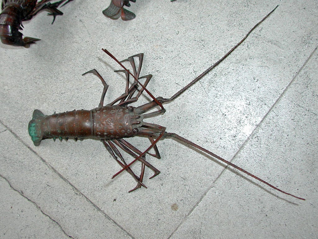 japanese crayfish