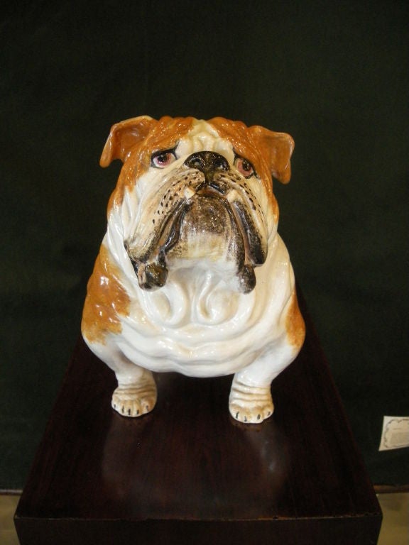 Italian Terra Cotta Bull Dog