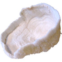 NATURAL CORAL FORMATION - BOWL VARIETY