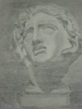 Untitled Drawing (Male Bust) by Beeldens
