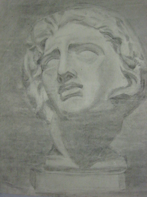 Disegno senza titolo (Busto maschile) di Beeldens