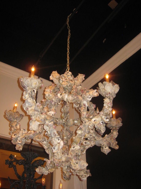 Pair of Shell Motif Chandeliers and 4 Pairs of Sconces