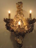 2 Pairs of Shell Motif Sconces