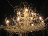 Pair of Rustic Chandeliers