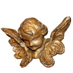 Italian 19th C. Angel Head