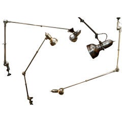 Adjustable Lumina Table Lamp