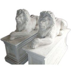 Pair of composition stone lions on bases.