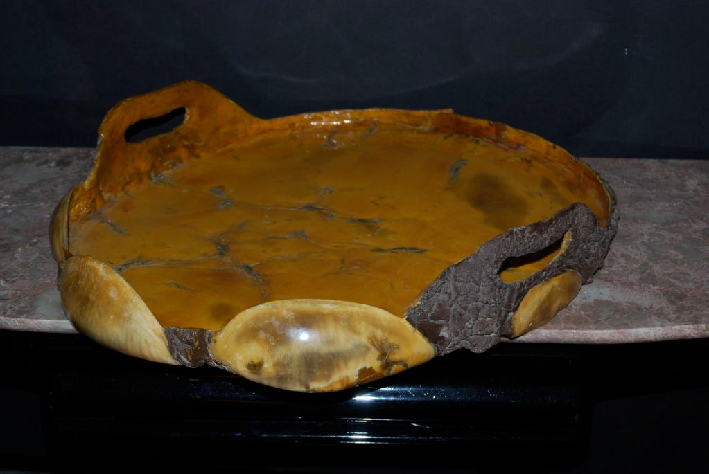 From the time of big game hunting...<br />
Imagine being offered a petitfore from this beauty... Appetizing!
