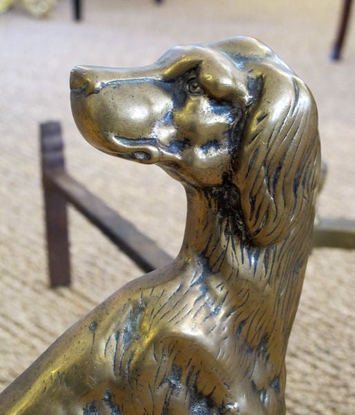 19th Century A Well-Executed Pair of English Brass Dog-Form Andirons