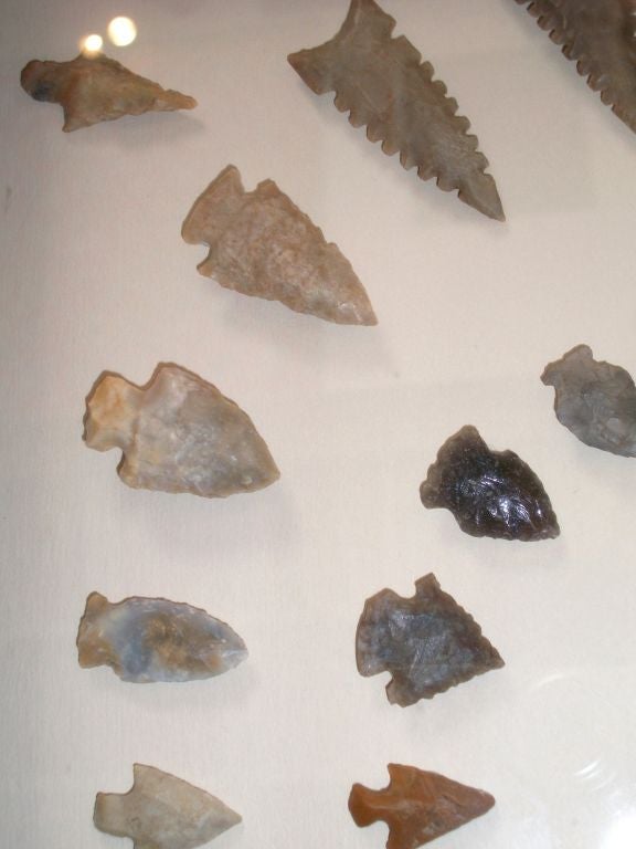 arrowhead display cases for sale