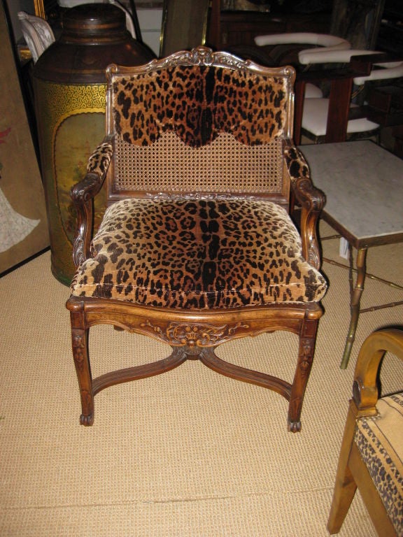 Highly decorative Regence style French arm chair in Leopard fabric--same estate as the others fabric is Brunschwig & Fils
