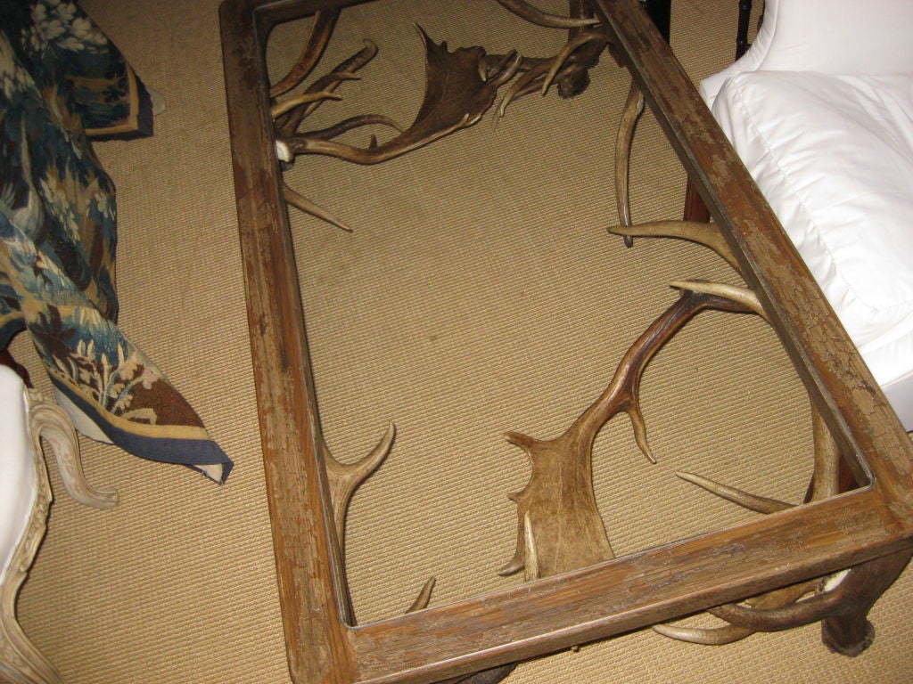 Wood Large Elk Horn and Fallow Deer Antler Glass top Coffee Table