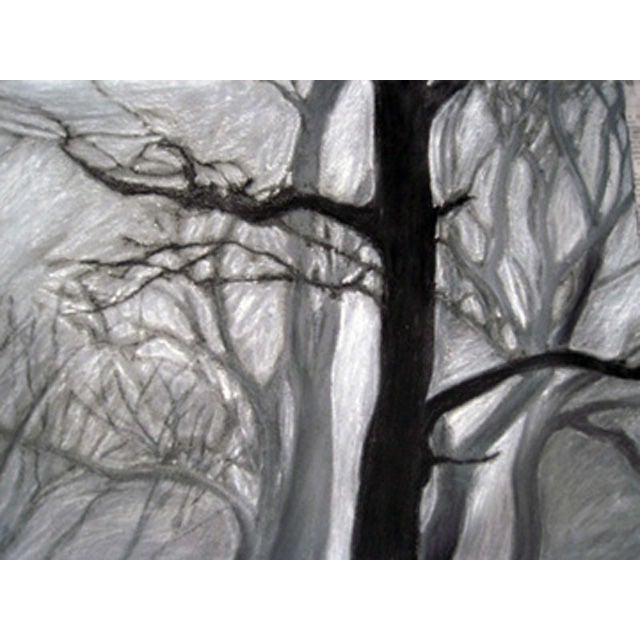 Charcoal Drawing by Risa Glickman