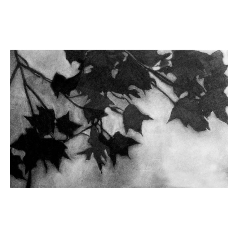 Framed Charcoal Drawing by Risa Glickman