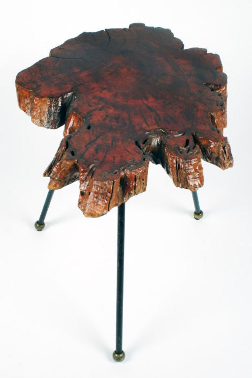 Mid-20th Century American Organic Cypress Tree Slab Tripod Occasional Table For Sale