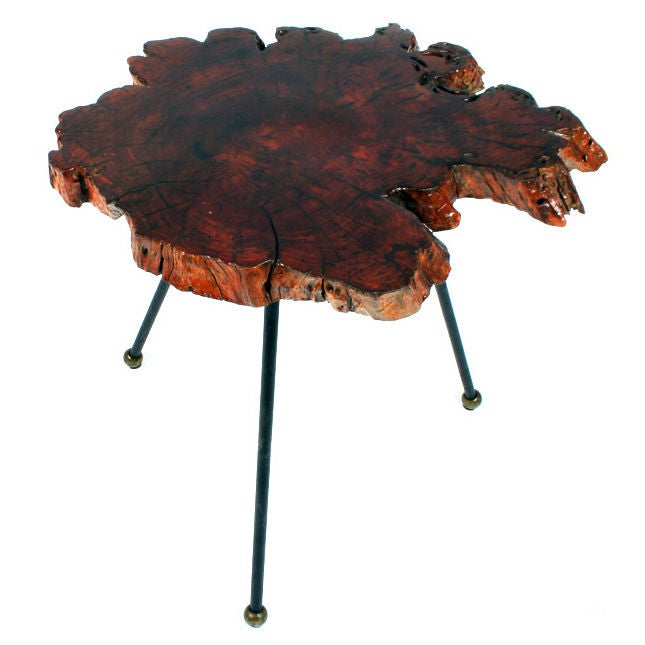 American Organic Cypress Tree Slab Tripod Occasional Table For Sale