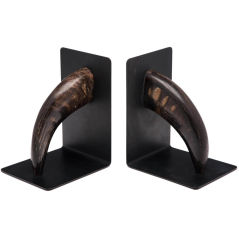 Pair of Horn Bookends by Carl Auböck