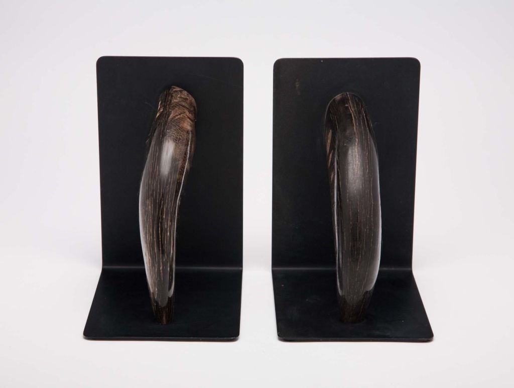Austrian Pair of Horn Bookends by Carl Auböck