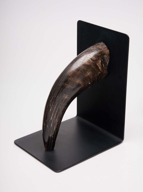 Pair of Horn Bookends by Carl Auböck In Excellent Condition In New York, NY