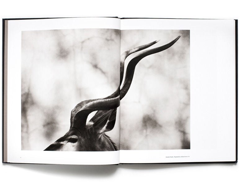 Animalia, Collector's Edition by Henry Horenstein In Excellent Condition For Sale In New York, NY