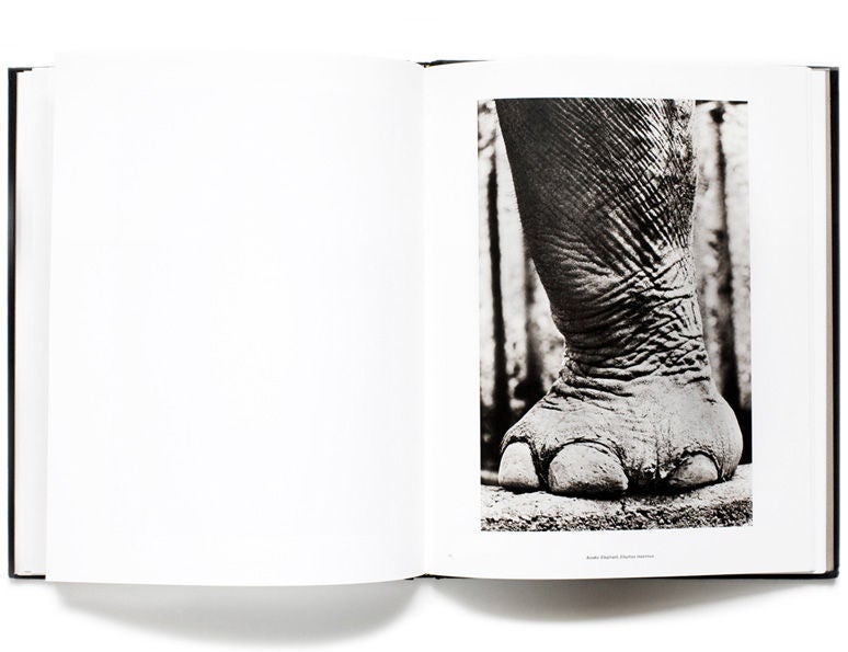 Linen Animalia, Collector's Edition by Henry Horenstein For Sale