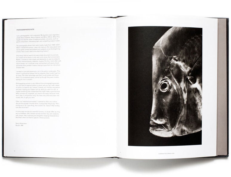 Animalia, Collector's Edition by Henry Horenstein For Sale 1