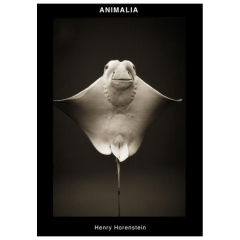 ANIMALIA Book by Henry Horenstein