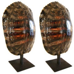 Vintage Pair, Turtle Shell Lamps on Stands
