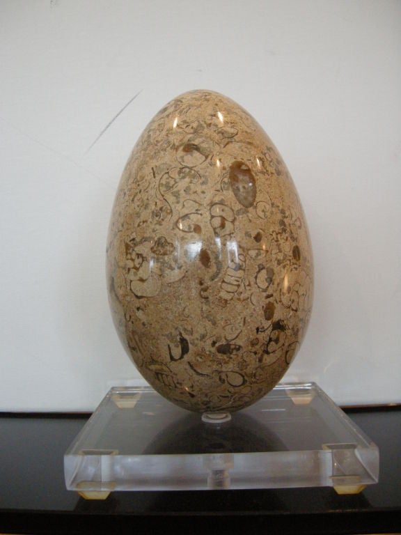 Pair,  Large Fossil Stone Egg's on Lucite Stands