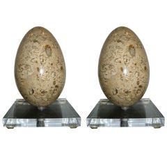 Pair,  Large Fossil Stone Egg's on Lucite Stands