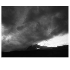 "Solitude" Photograph by Ezra Gozo Mansur 3